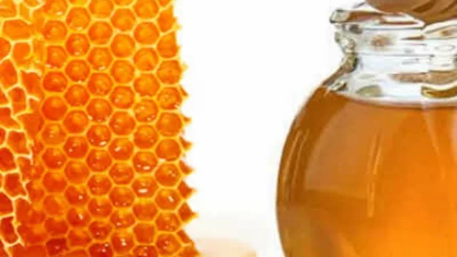 Se vienen unos días dulces: del 14 al 20 de mayo llega la Semana de la Miel a Resistencia