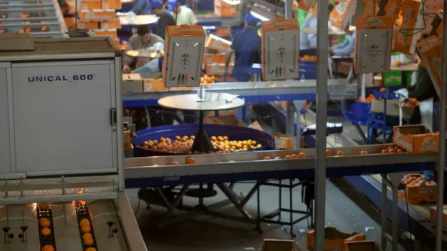 Asistencia y capacitaciones para la industria en tres pasos