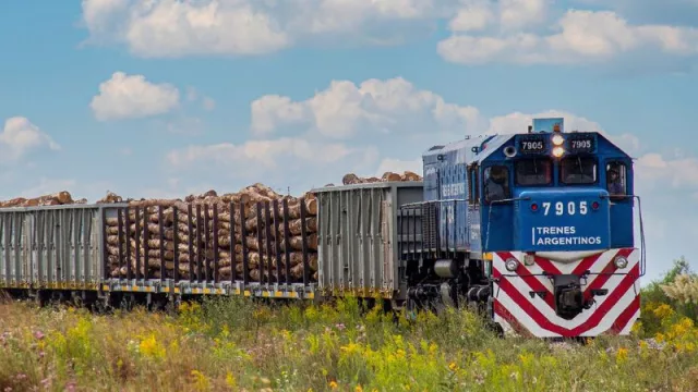 Nuevos puntos de carga y descarga que incrementan la productividad del ferrocarril