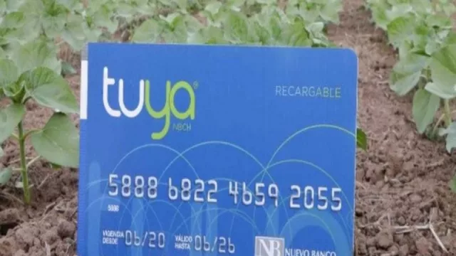 Tuya Agro y Tuya Recargable son las nuevas herramientas para el sector agrícola