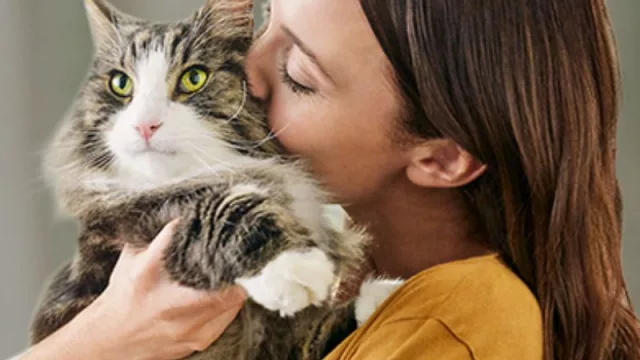 Quiero reencarnarme en gato (antes de fin de año Nestlé lanza en UY alimento súper premium)