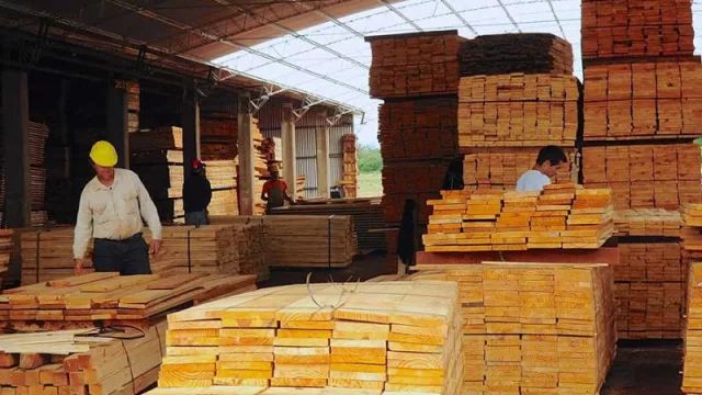 La tecnología triplicó la actividad forestal misionera