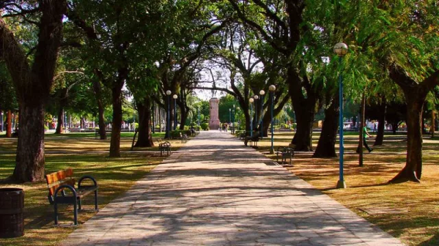 Resistencia firmó convenio con el Iifa para la plantación y cuidado de los árboles de la Plaza 25 de Mayo