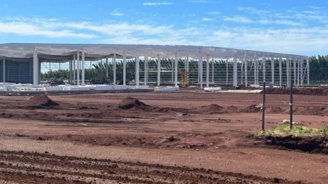 La inversión de la construcción del megaserradero (en Virasoro) ya es un hecho