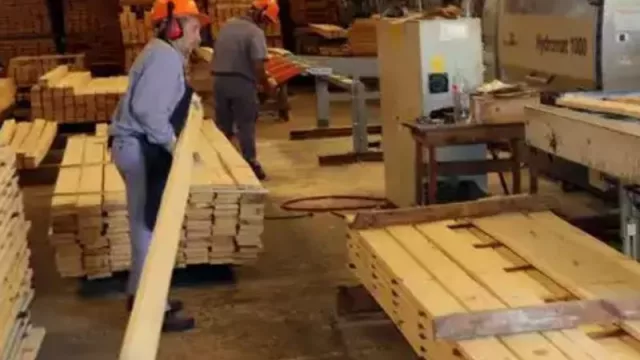 Posadas será sede de un encuentro regional con empresas del sector foresto industrial del NEA