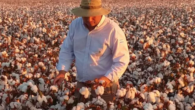 Innovación y tradición algodonera (de la mano de Gensus SA) en la Fiesta Nacional del Algodón