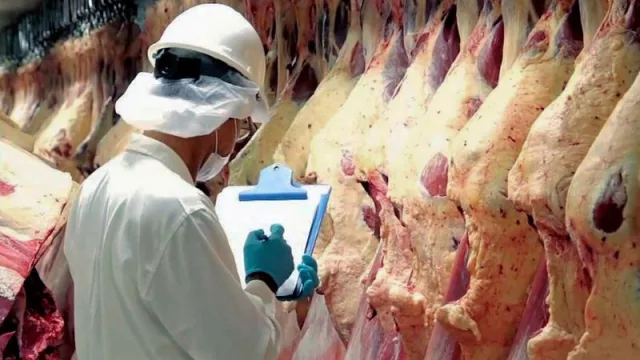 Se cae China, el gran comprador de carne argentina ¿Cuántos dólares se ponen en juego?