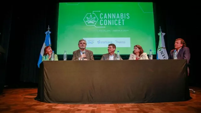Se anunció la creación de la empresa de base tecnológica pública “Cannabis Conicet”