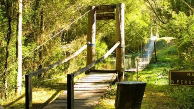 Alta demanda de turismo rural y ecológico en el Chaco durante fin de semana largo