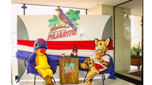 Paraguay estimula al mundo: Yerba mate busca mayor presencia en industria alimenticia internacional (y se exhibe en París)