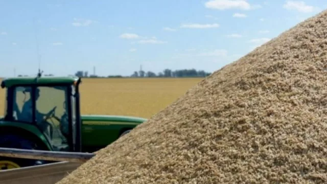 Una campaña complicada para el arroz correntino