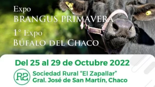 Varias jornadas ganaderas para las primeras Expo Brangus Primavera y Expo Búfalo del Chaco