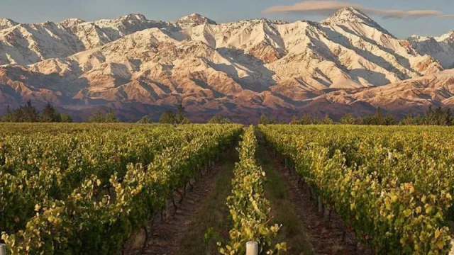 Hay 4 bodegas argentinas entre las 50 mejores del mundo: cuáles son