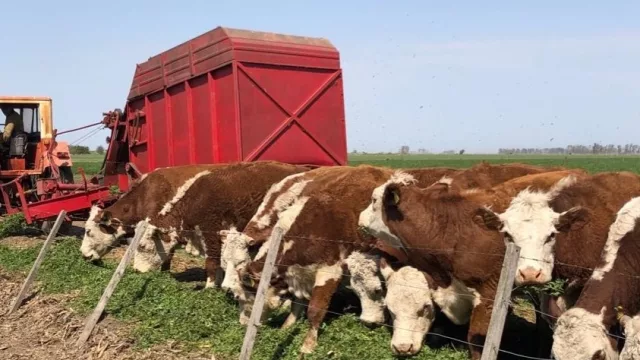 Contingente Austríaco visita Chaco, Corrientes y Santa Fe (alianza estratégica por la agricultura familiar)