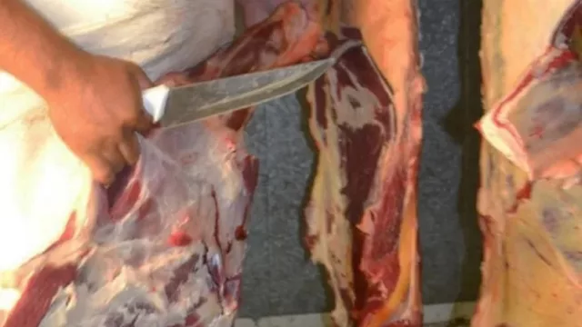 Para los frigoríficos chaqueños la nueva medida es impracticable (beneficia solo a los frigoríficos exportadores)