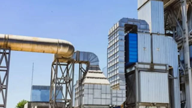 La empresa Unitán certificó bonos de carbono sobre forestaciones con especies nativas