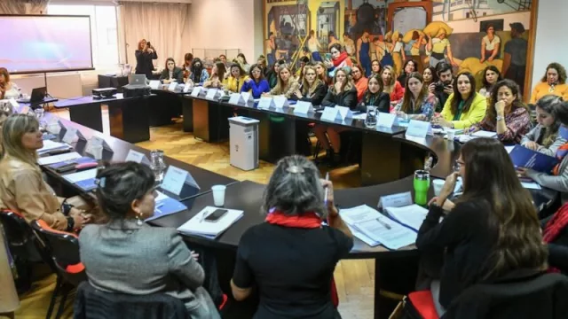 Trabajo por la inclusión de mujeres y diversidades en sectores económicos estratégicos (proyectan políticas públicas)