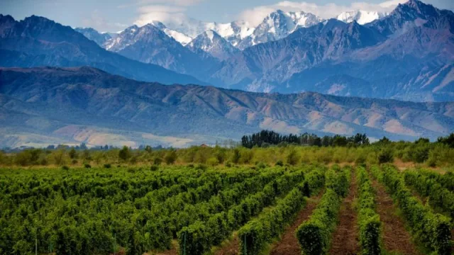 La provincia argentina que ama todo el mundo: fue elegida como uno de los lugares top para viajar en 2023