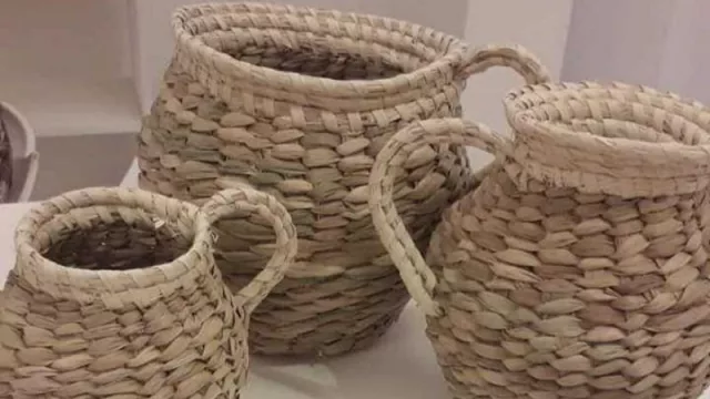 Se realizó la 45 Feria de Artesanía Aborigen Chaqueña