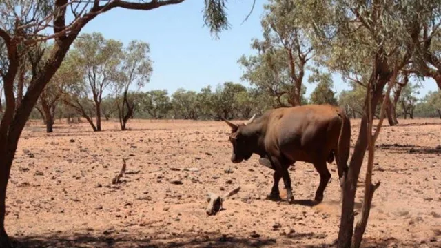 Los productores agropecuarios y unas expectativas muy negativas para el próximo año (piensan que el sector estará peor en 2023)