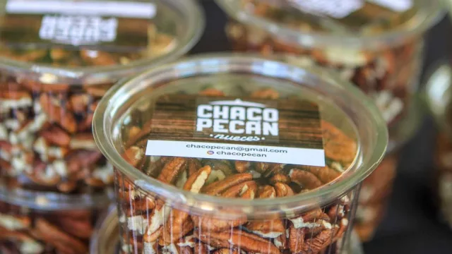 Chaco promueve la expansión del cultivo de nuez Pecán