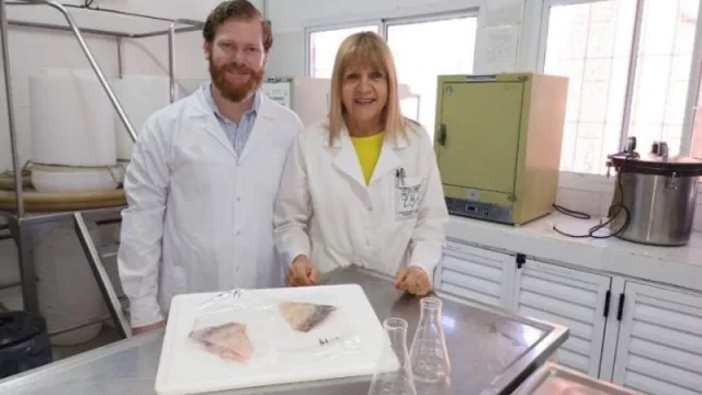 Técnicas de industrialización para dar valor agregado al Pacú del Paraná