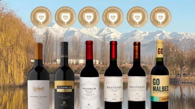 Un blend de Bodega Vinorum entre las revelaciones para Patricio Tapia