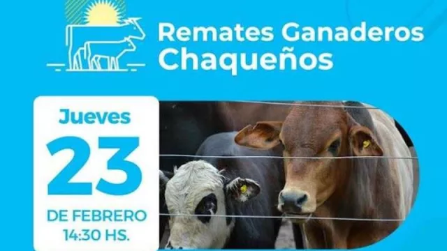 El año de remates ganaderos comenzará el 23 de febrero en Margarita Belén