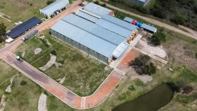 Empresa radicada en el Chaco proyecta fabricar productos biológicos para todo el país