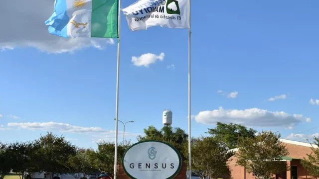 Los nuevos desafíos de la cadena algodonera (de la mano de Gensus)
