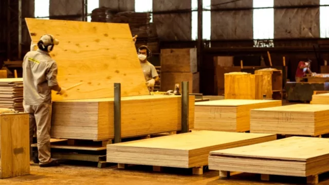 Gobernador Virasoro, la localidad correntina que se posiciona como potencia foresto-industrial