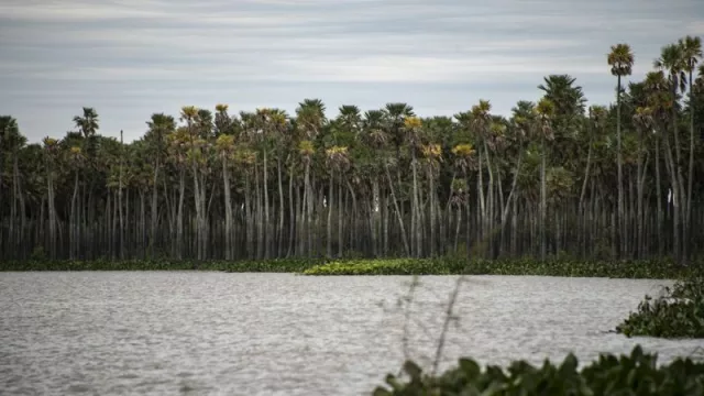 Chaco se constituye como la provincia con más áreas protegidas, Parques Provinciales y Nacionales del país