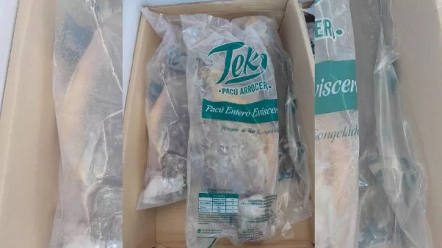 Pacú Teko sigue creciendo para atender la gran demanda de Semana Santa