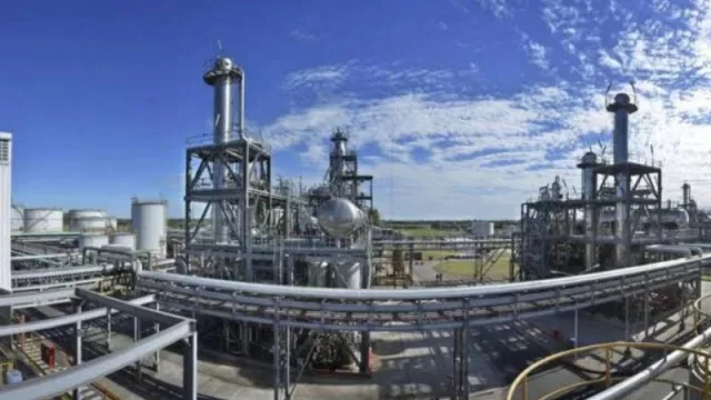 Industria aceitera en alerta máxima (falta de granos por la sequía)