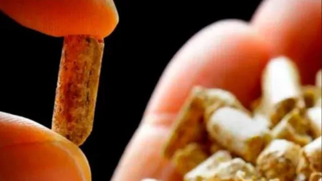 Proyecto de Biorefinerías del Norte argentino (se presentó en Misiones para el desarrollo de tecnologías destinadas al agregado de valor)