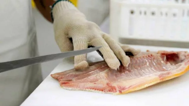 Frigorífico chaqueño exportará pacú a Norteamérica (siendo así el primer establecimiento de la región en comercializar con EE.UU)