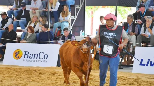 Corrientes es sede del Congreso Mundial de Brangus