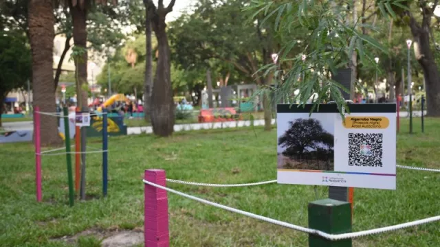 El Municipio de Resistencia junto al IIFA y la Escuela de Jatdinería, intervinieron los espacios verdes de la Plaza 25 de Mayo