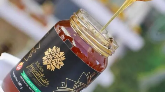 Chaco es la provincia con más productores de miel orgánica (calidad reconocida a nivel mundial)