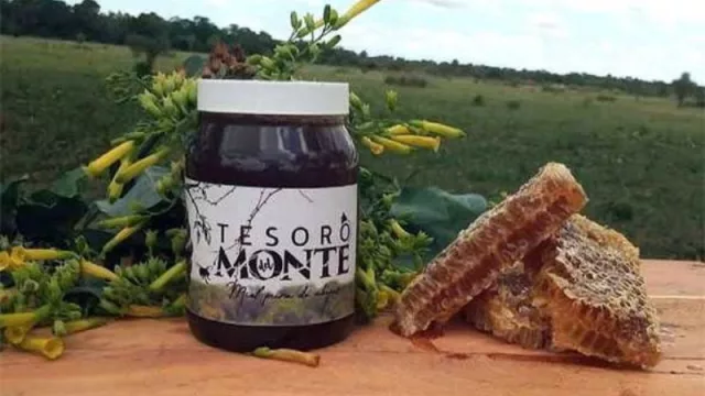 La miel chaqueña “Tesoro del Monte” fue la ganadora de la ExpoMiel Azul 2023 (participaron 29 apicultores de nueve provincias)