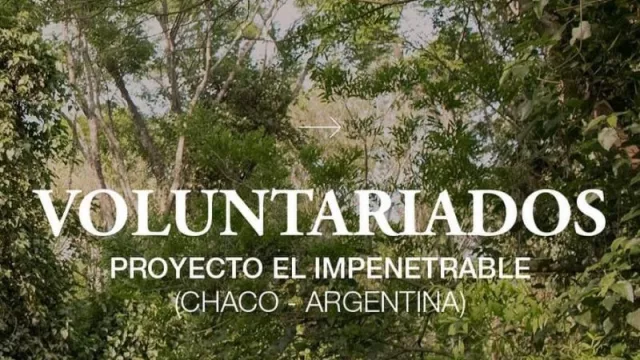 Convocatoria de la Fundación Rewilding para voluntariados en El Impenetrable