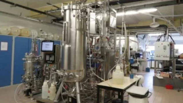 Misiones avanza con la instalación de la primera biorrefinería del país (promete revolucionar la industria petrolera tradicional)