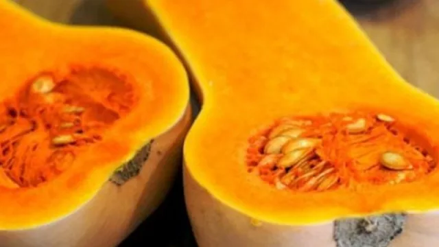 El zapallo mendocino que conquista Europa (fruto de 30 años de investigación en mejoramiento genético del INTA)