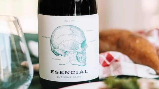 Viña Alta y su apuesta por los vinos de alta gama