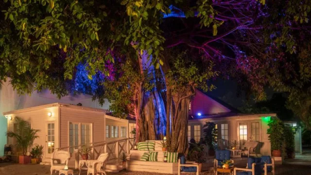 ZeyZey: abre un nuevo lugar cool de fin de semana en Miami