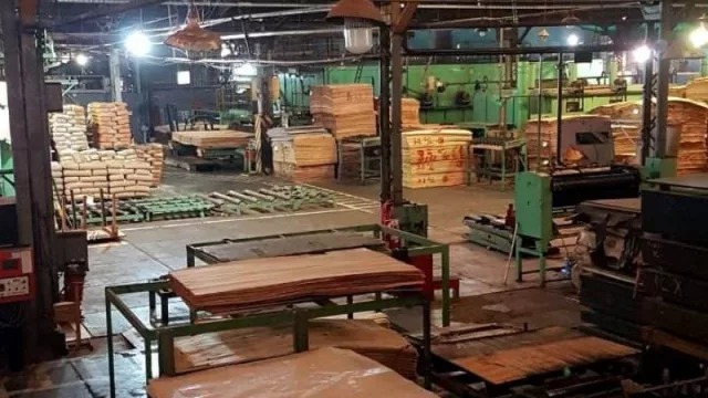 Empresa misionera obtiene reconocimiento internacional por la excelente calidad de su producto (¿qué ofrece? Madera de primera calidad)