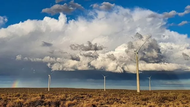 El parque eólico Vientos Neuquinos cubre el 50% de la demanda eléctrica en Neuquén capital