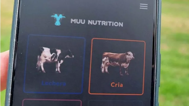 Un grupo de santafesinos lanzaron una app para calcular raciones de alimentos para mascotas (ya funciona en Brasil, Egipto, Turquía y Alemania)