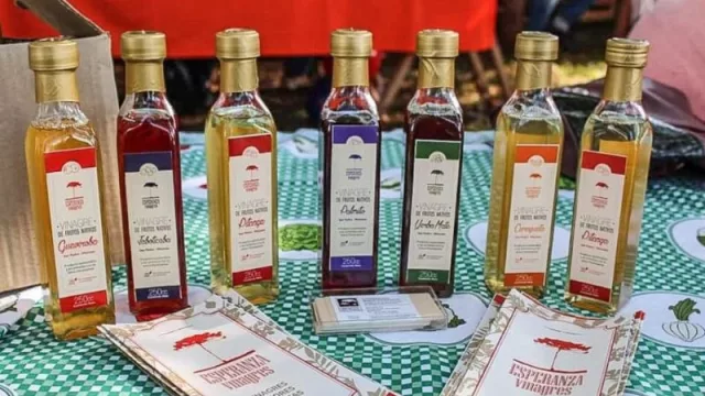 Sabores de la Selva (fábrica de conservas de emprendedoras misioneras)