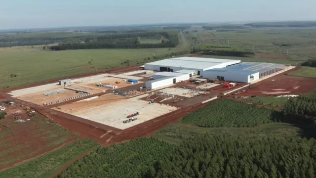 Acon Timber inaugurará este año su complejo foresto industrial (posicionando a Corrientes como un jugador mundial dentro del rubro)